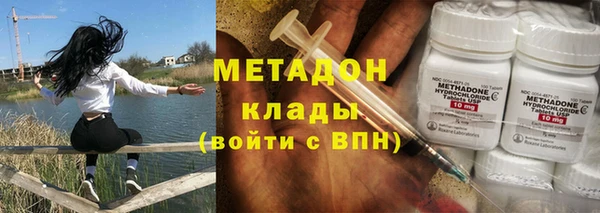 прущие грибы Алексин