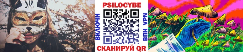маркетплейс как зайти  Гагарин  Галлюциногенные грибы Psilocybe  даркнет сайт  blacksprut  