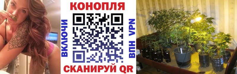 Канабис Ganja  Гагарин 